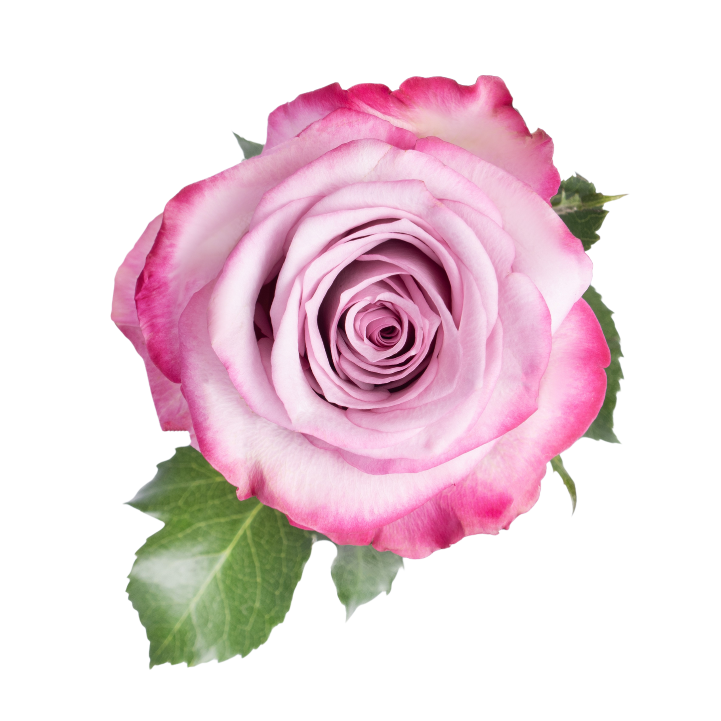 COMBO 17 - HALLMARK