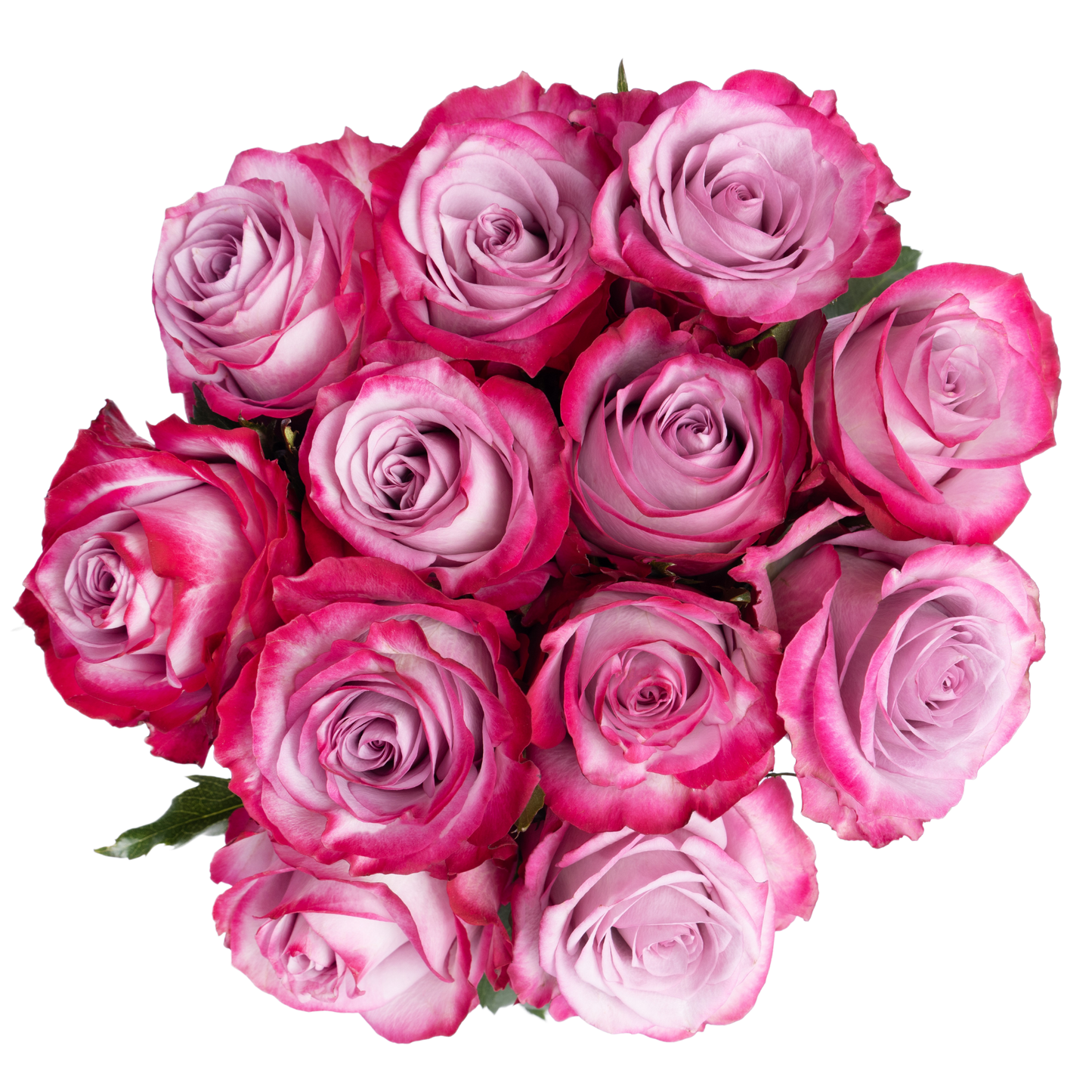 ASSORTED DOZEN ROSES-HALLMARK