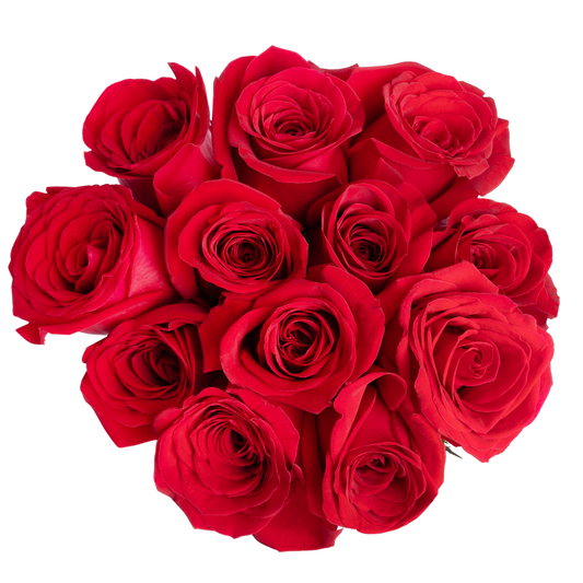 ASSORTED DOZEN ROSES-HALLMARK (PACK 10)