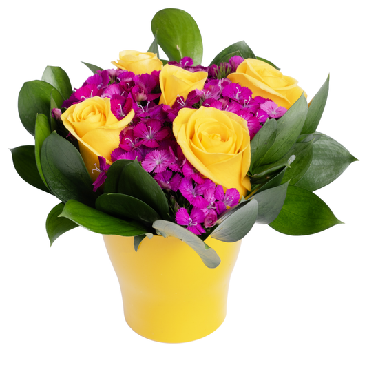 DREAM MINI ARRANGEMENT - HALLMARK (Pack 9)