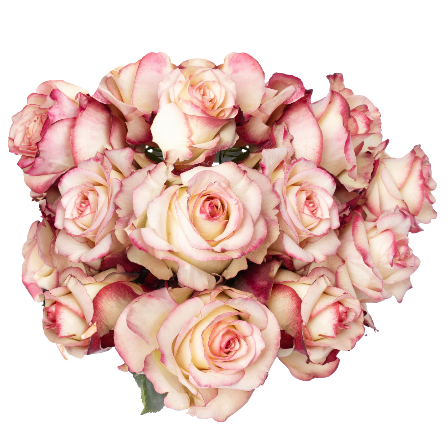 ASSORTED DOZEN ROSES-HALLMARK