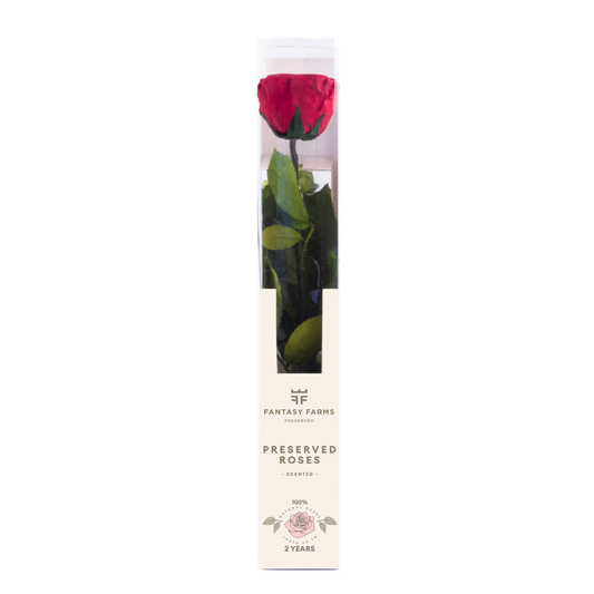 PRESERVED ROSES 30cm -HALLMARK (Pack 20)
