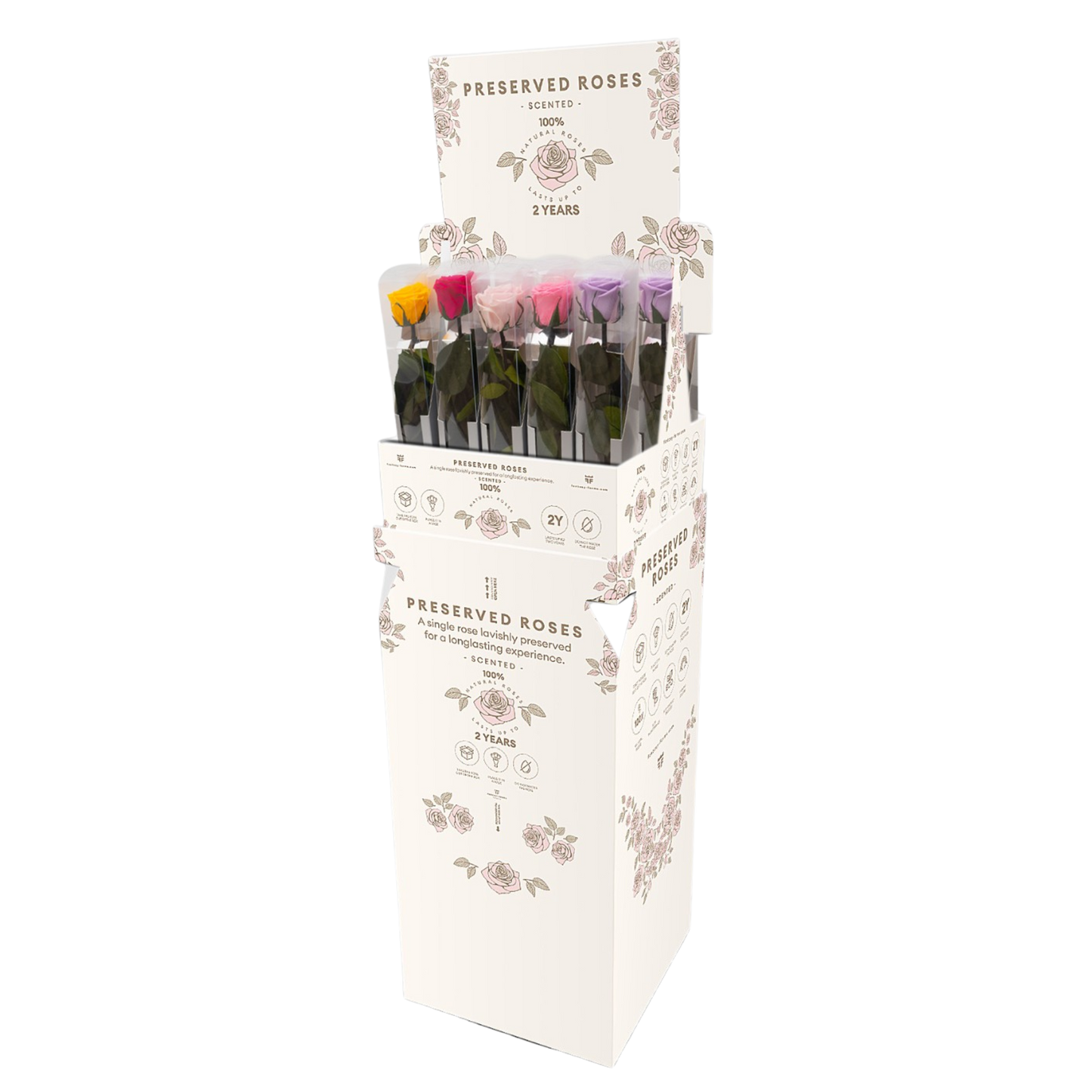 PRESERVED ROSES 30cm -HALLMARK