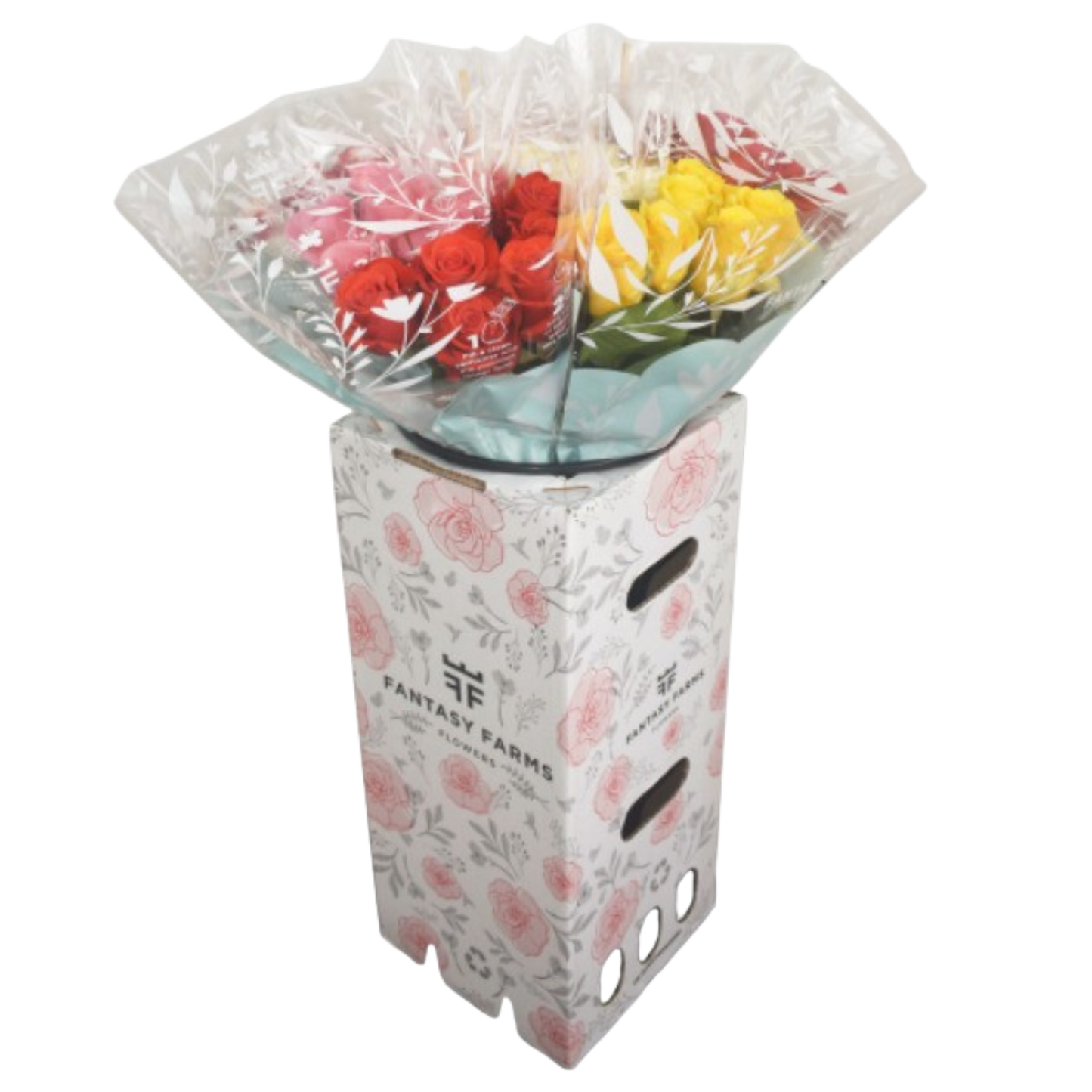 DOZEN RAINBOW ROSES-HALLMARK