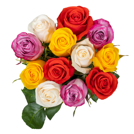 DOZEN RAINBOW ROSES-HALLMARK (Pack 10