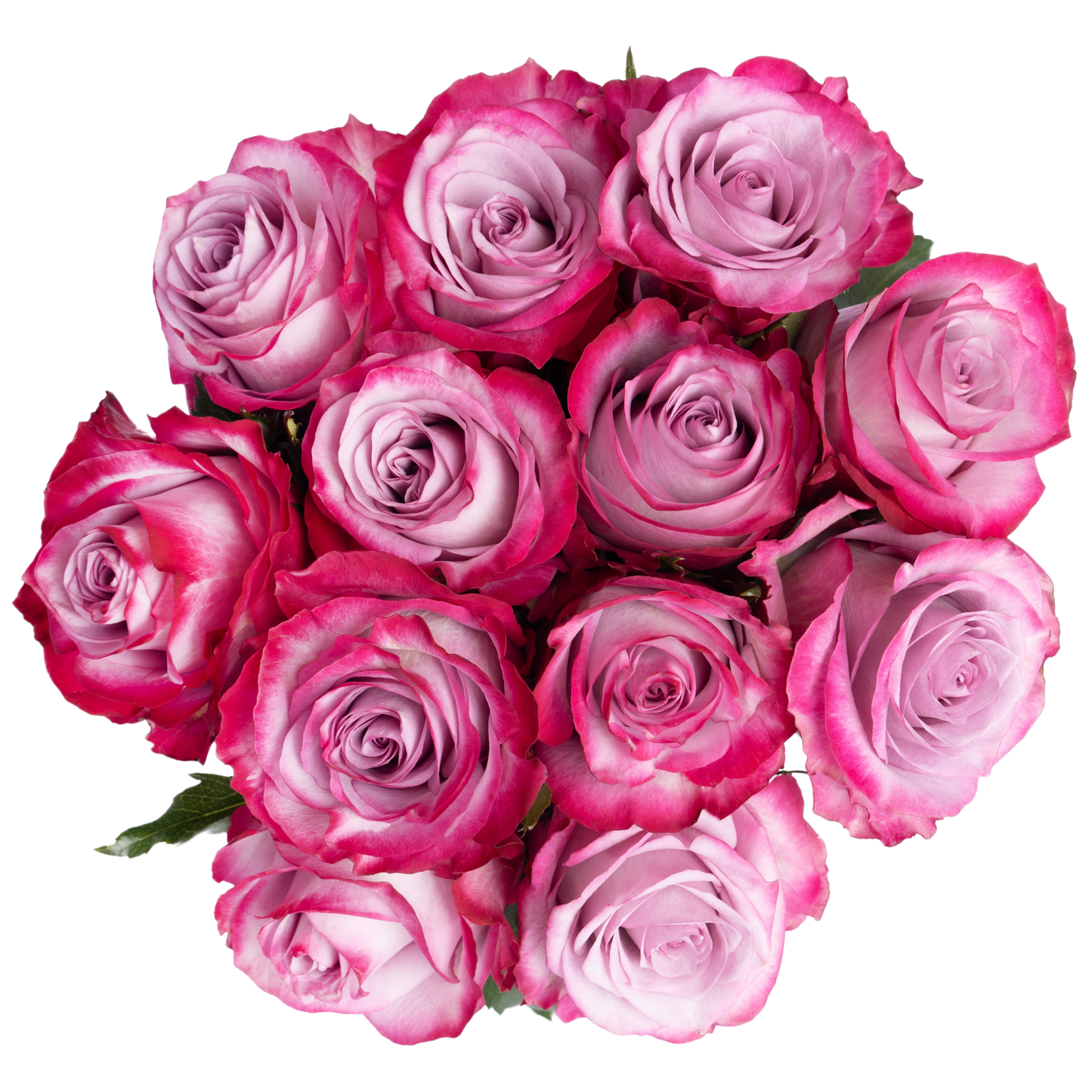 VALENTINE´S DAY - DOZEN ROSES - HALLMARK
