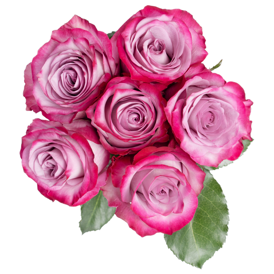 VALENTINE´S DAY - HALF DOZEN ROSE - HALLMARK