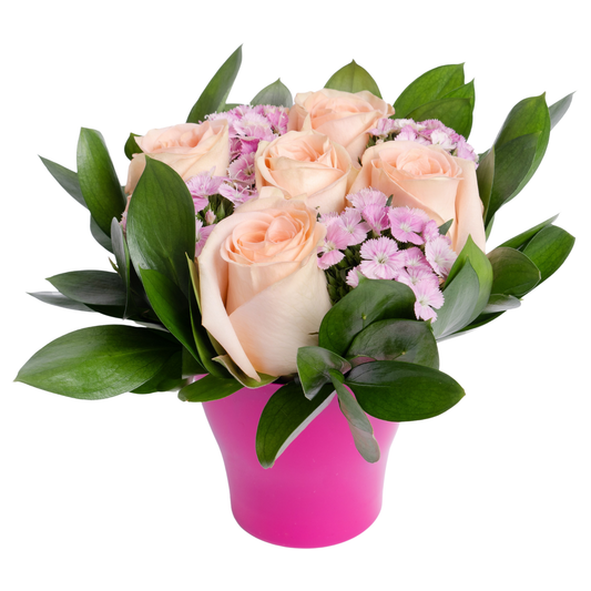VALENTINE´S DAY - MINI DREAM ROSE ARRANGEMENT - HALLMARK
