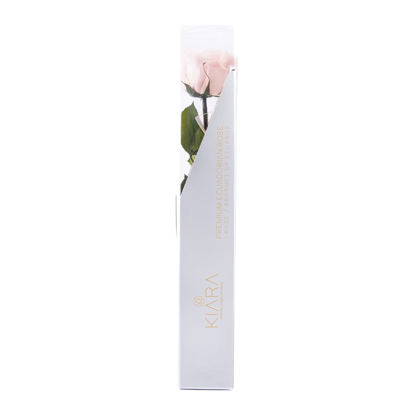 HALLMARK PRESERVED STEMS 30CM (PACK 25)