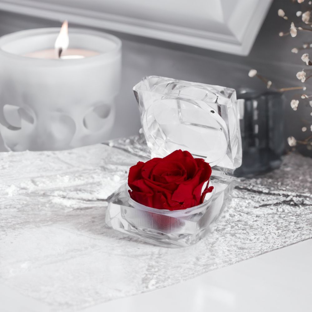 HALLMARK BIJOU PRESERVED ROSES (PACK 20)