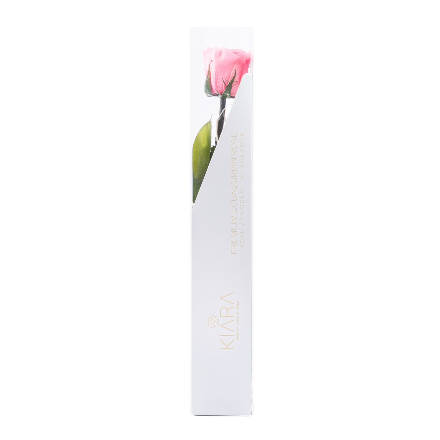 HALLMARK PRESERVED STEMS 30CM (PACK 25)