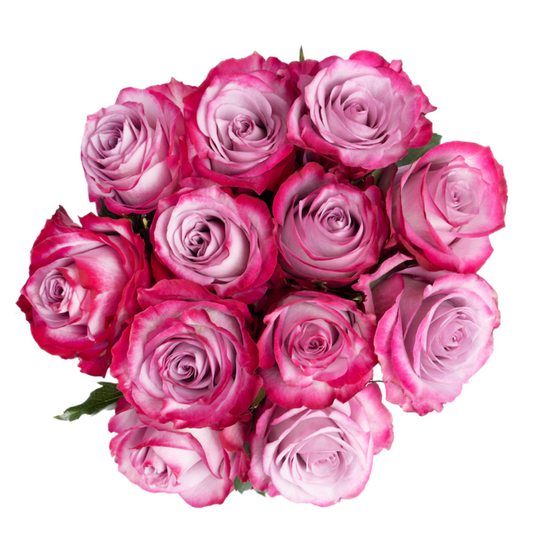 HALLMARK DOZEN ROSE BOUQUET (PACK 10)