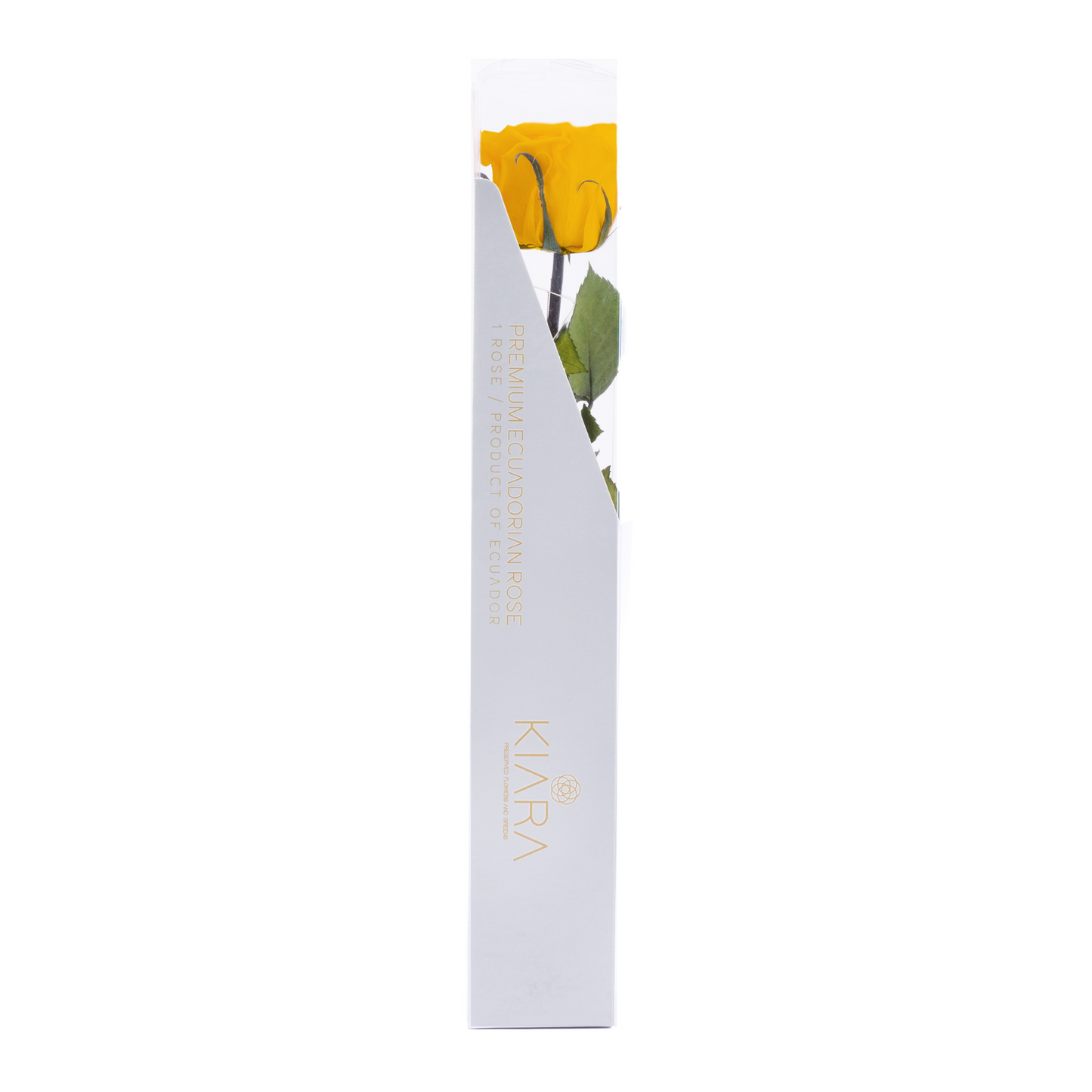 HALLMARK PRESERVED STEMS 30CM (PACK 25)