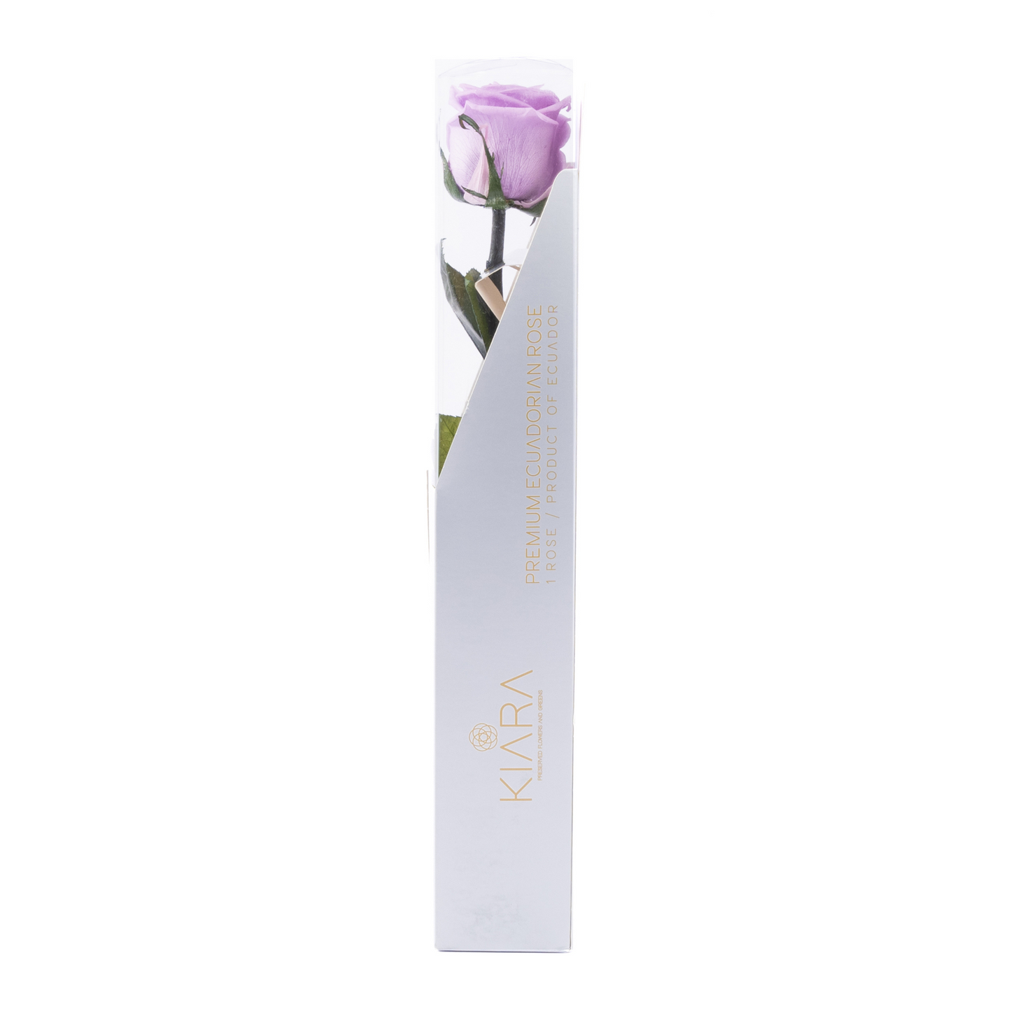 HALLMARK PRESERVED STEMS 30CM (PACK 25)