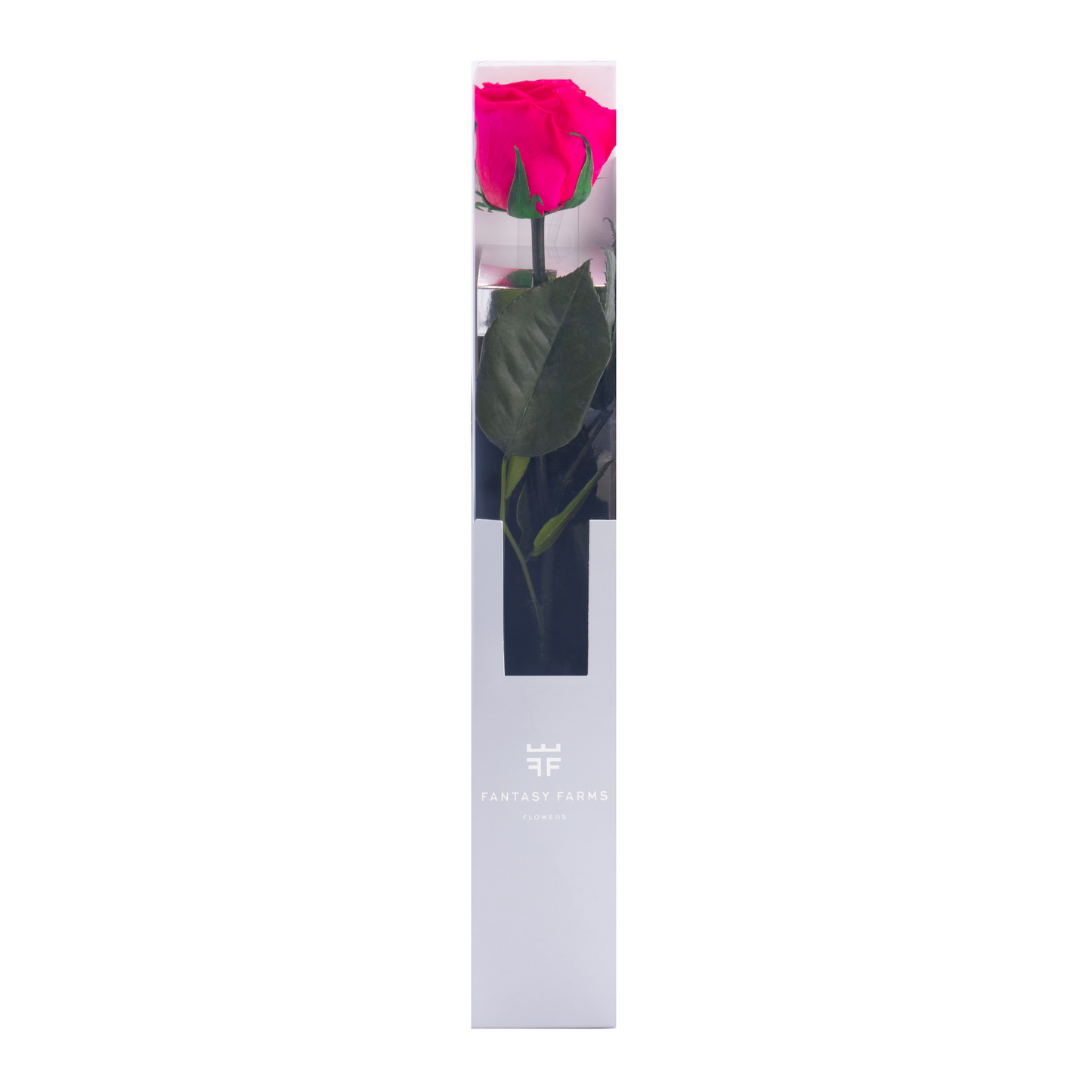 HALLMARK PRESERVED STEMS 30CM (PACK 25)