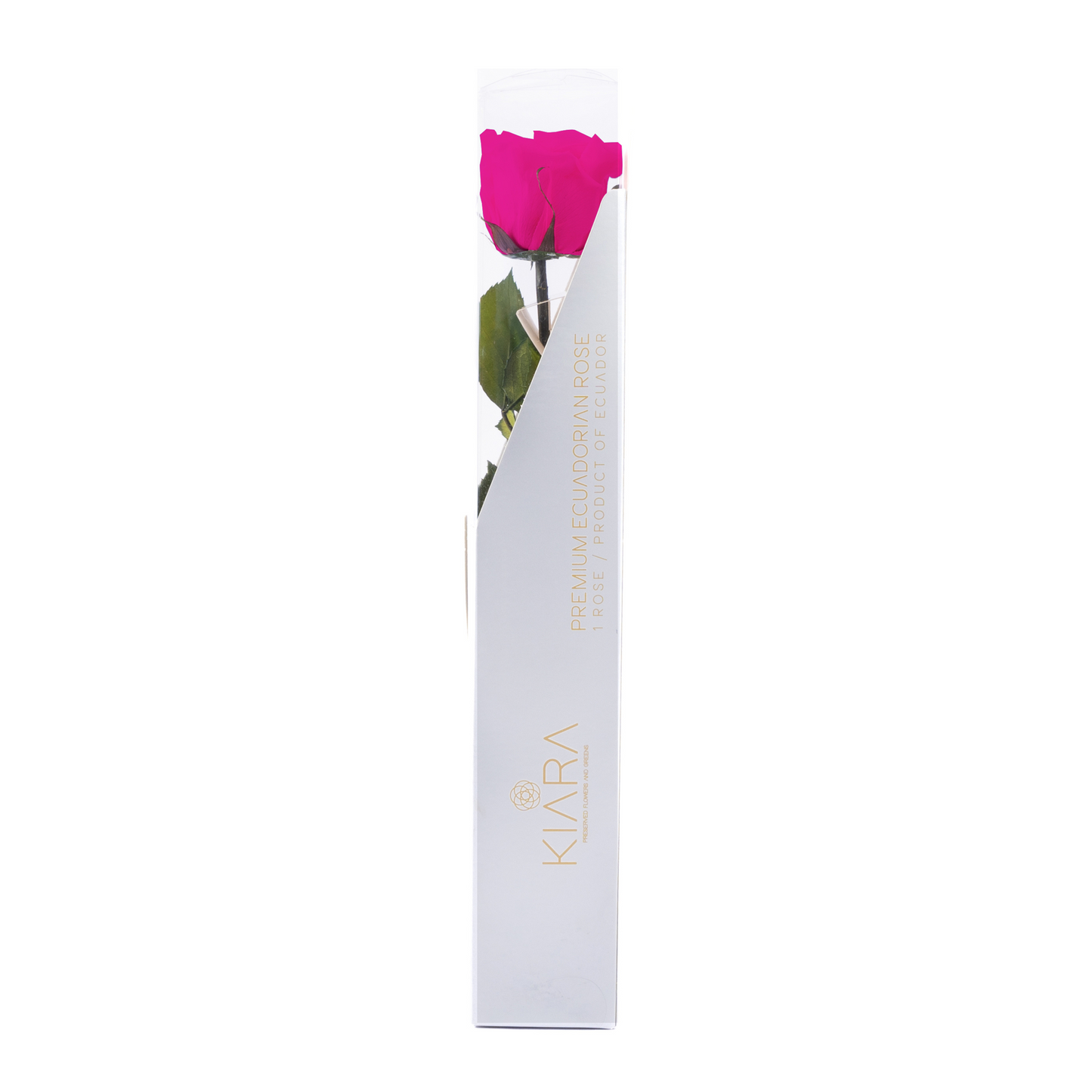 HALLMARK PRESERVED STEMS 30CM (PACK 25)