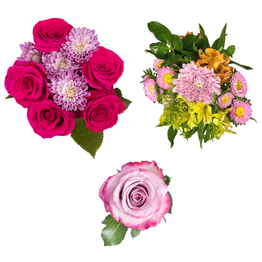 COMBO 17 - HALLMARK