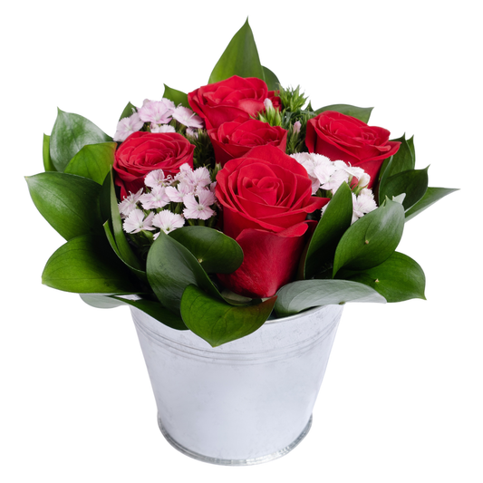 VALENTINE´S DAY - CHARM VASE ROSE ARRANGEMENT - HALLMARK