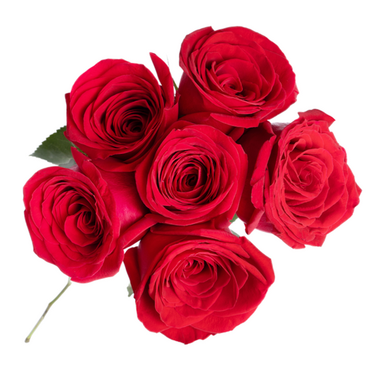 HALLMARK HALF DOZEN ROSE BOUQUET (PACK 14)