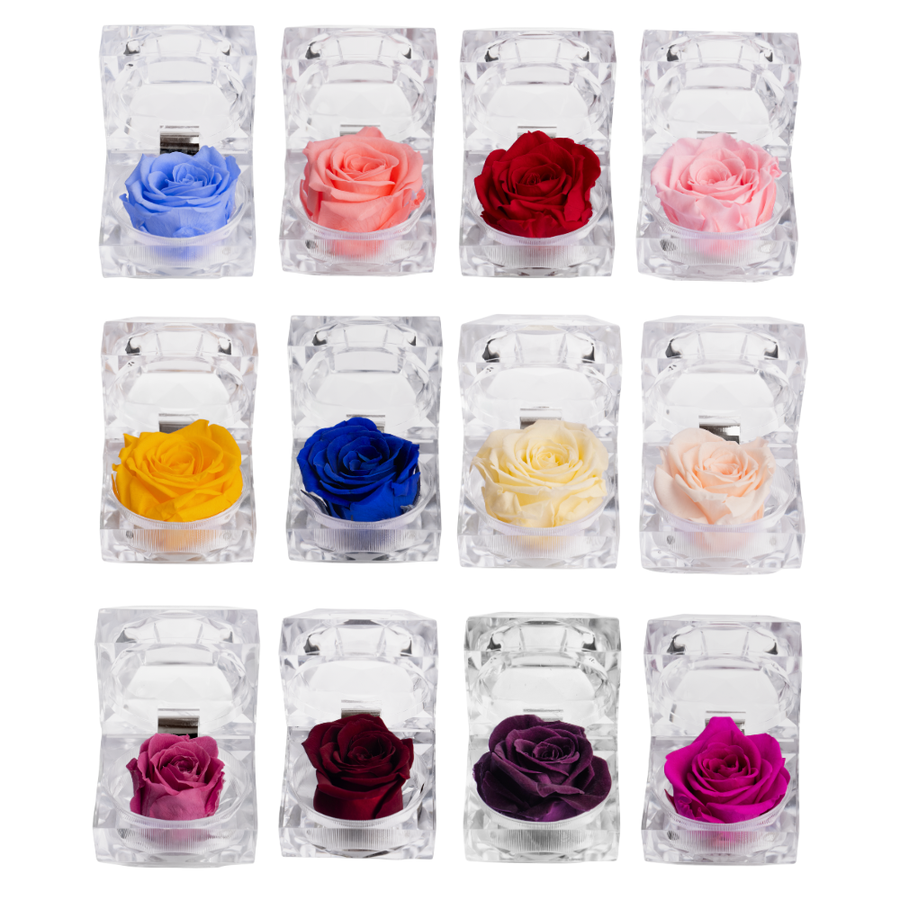 HALLMARK BIJOU PRESERVED ROSES (PACK 20)