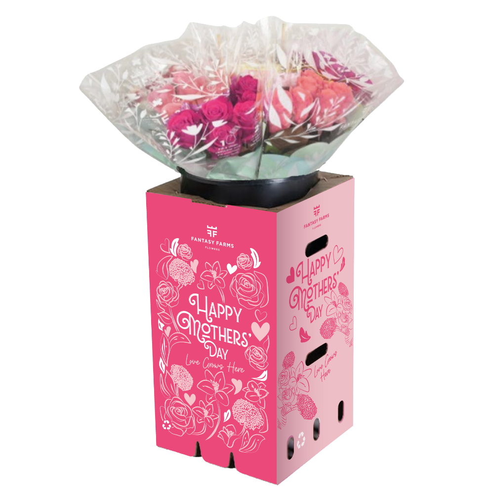 HALLMARK HALF DOZEN ROSE BOUQUET (PACK 14)