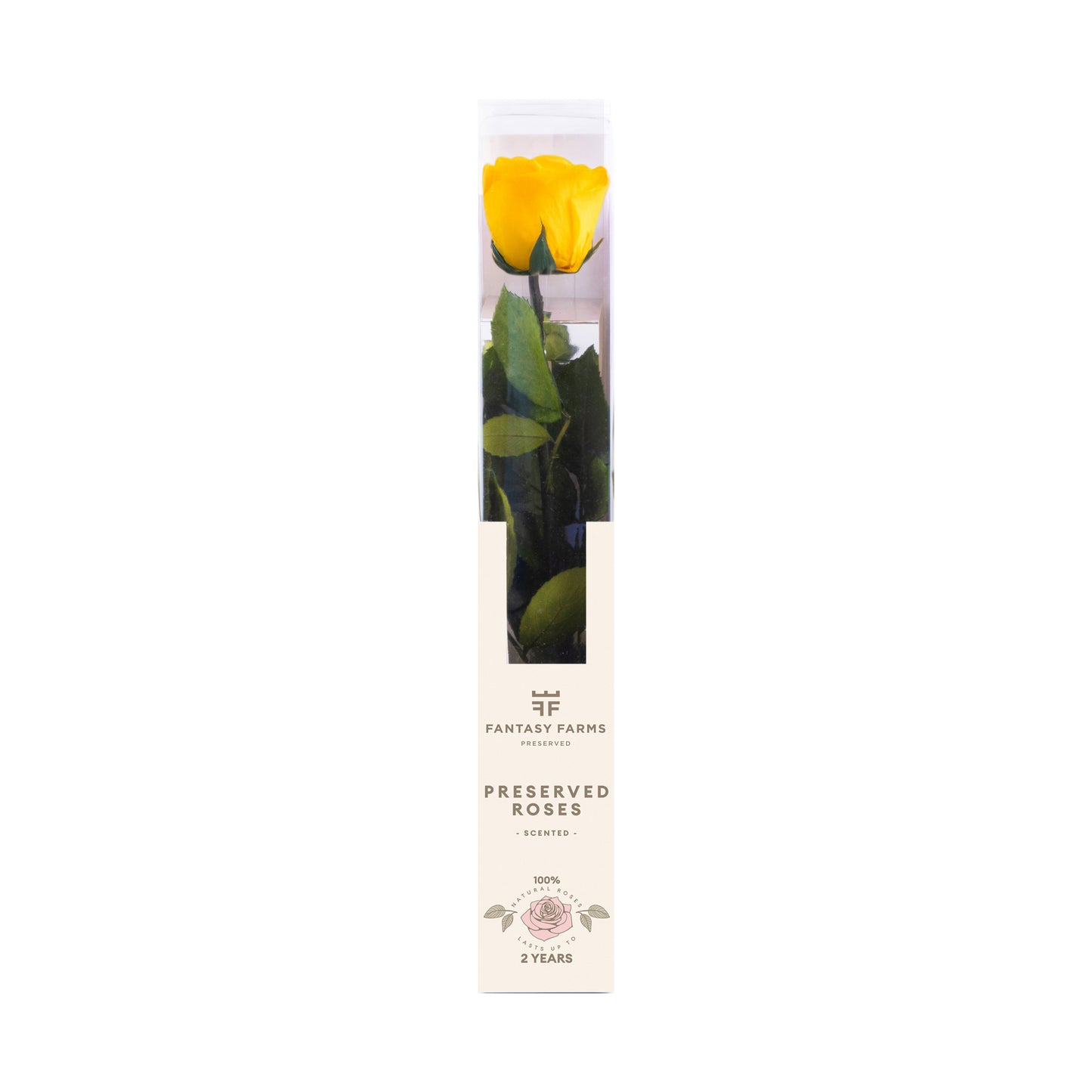 PRESERVED STEMS 30 CM